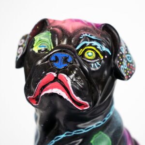 Little bouledogue