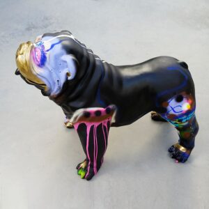 Bouledogue golden wahou