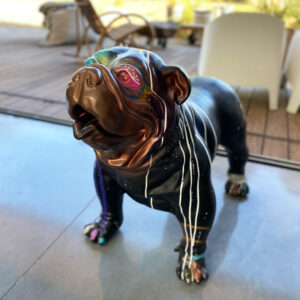 Bouledogue  purple dingo