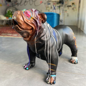 Bouledogue  purple dingo